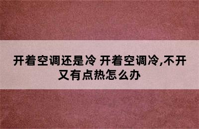 开着空调还是冷 开着空调冷,不开又有点热怎么办